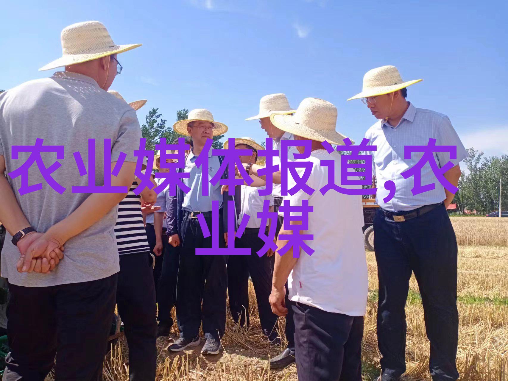 2020年小型养殖什么最赚钱(小型养殖业什么最赚钱)