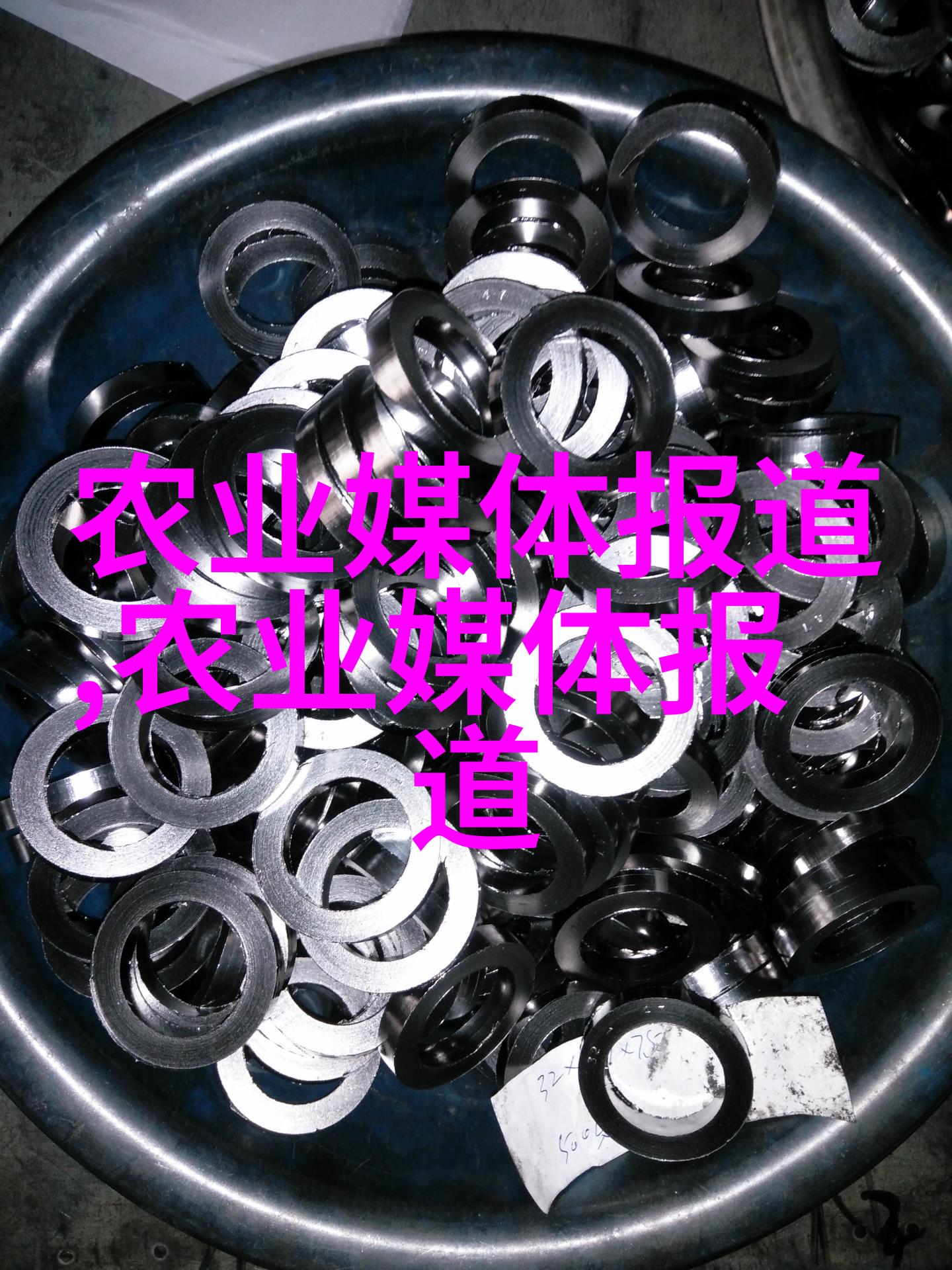 农村加盟养殖项目有哪些补贴(农村养殖业致富项目 招商加盟)